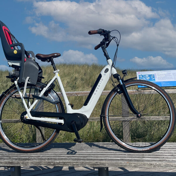 Gazelle_Bosch_Elite_aussen