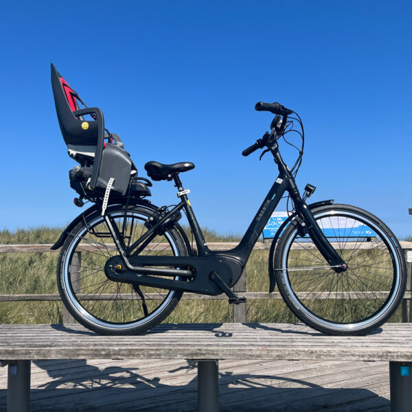 Gazelle_Bosch_26