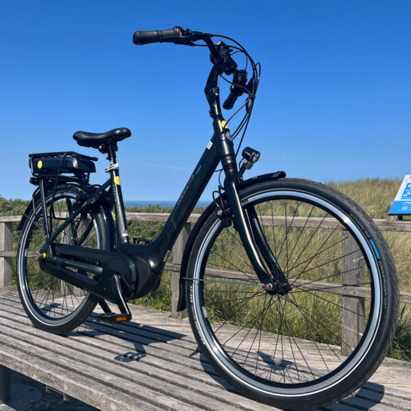 Gazelle_Bosch_26_2