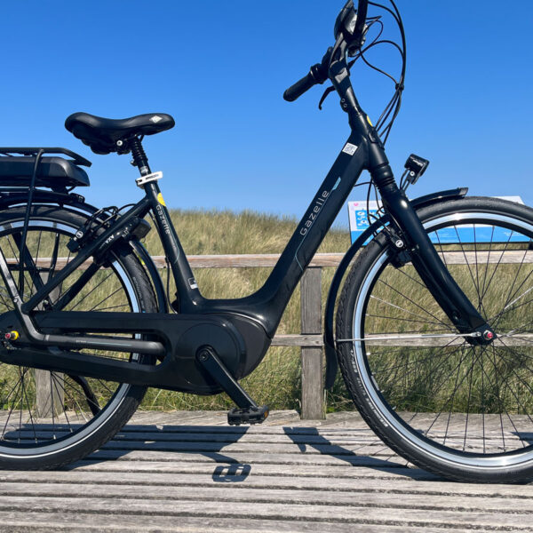 Gazelle_Bosch_26_3