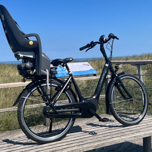 Gazelle_Bosch_26_4
