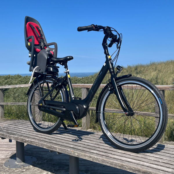Gazelle_Bosch_26_5