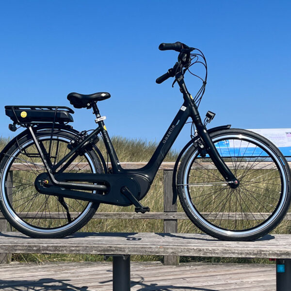 Gazelle_Bosch_26_6