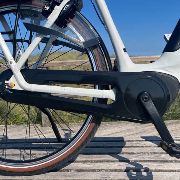 Gazelle_Bosch_Elite_1