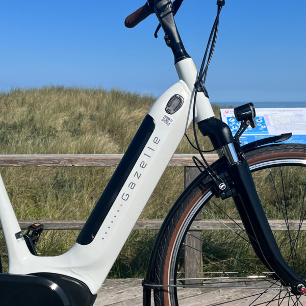 Gazelle_Bosch_Elite_3