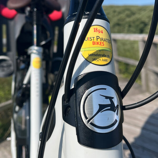 Gazelle_Bosch_Elite_4